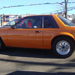 1986 MUSTANG "notch"