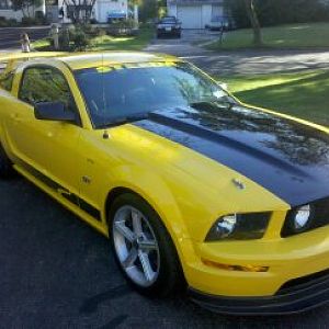 2005 Steeda Q