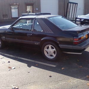 my 86 pony