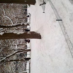 Mobile Album