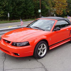 MY COBRA