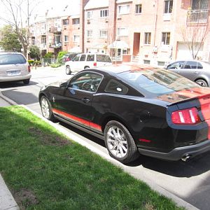 My stang