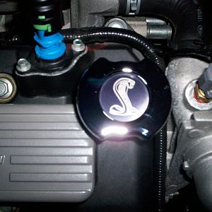 Sssnake08
