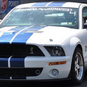The Mistress Shelby