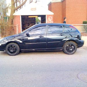 black beauty
