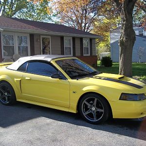 2000 GT