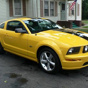 Just Purchased