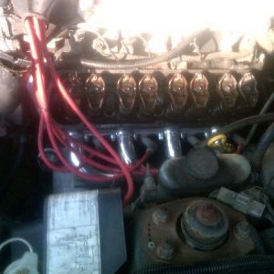 my mustang