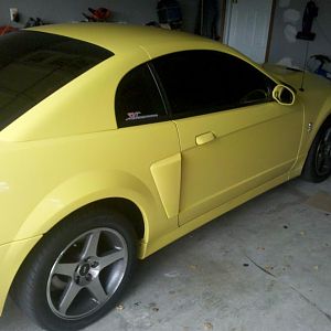 03 Cobra