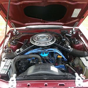 1982 Mustang GT