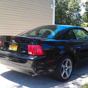 2003 cobra