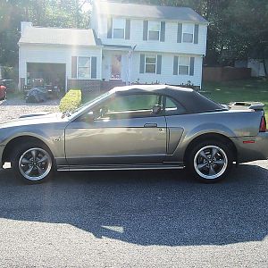 my 2001 gt converible