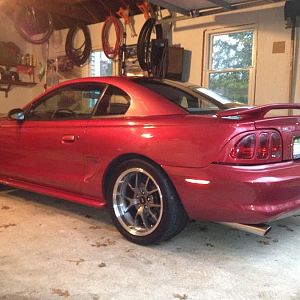 My Cobra