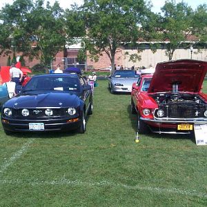 My Stang AKA Misty