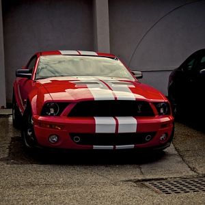 shelby gt500