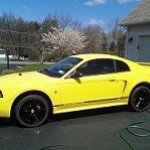 2001 Zinc Yellow V6