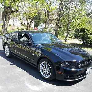 Mustang