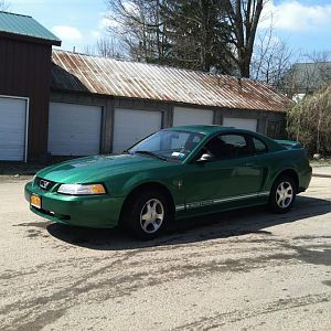 my first stang