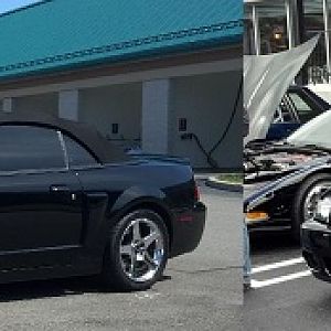04 Terminator