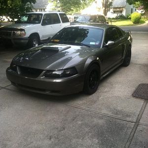 my gt