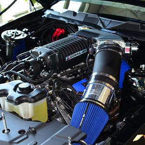 Cobra Jet