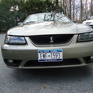 my mustang