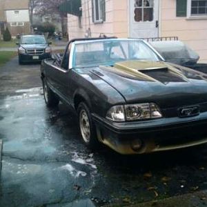 bud's  stang