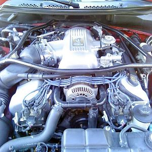 Pics of the Cobra