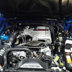 1993 Mustang Cobra