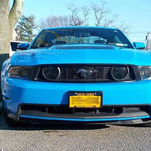 my stang