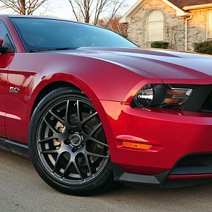 mustang partout