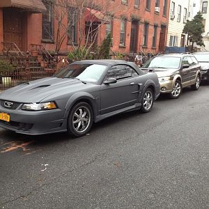 My stang