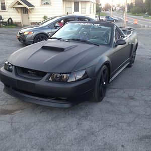 Newer Pics