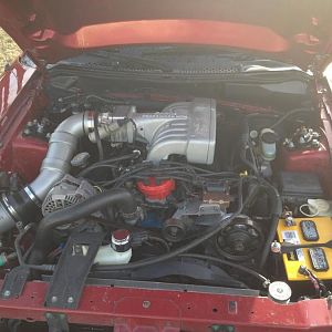 94 GT 351w