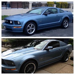 My mustang