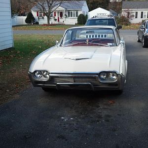 61 t-bird