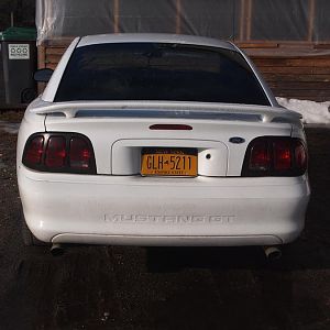 The mustang