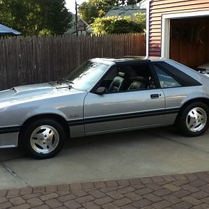 Mustangs