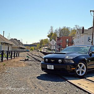 my mustang