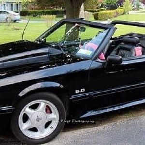 Mustang