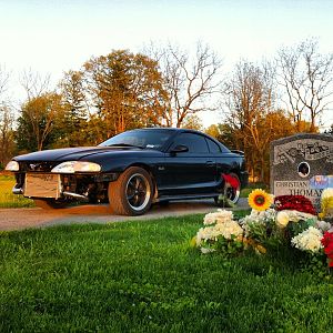 my mustang
