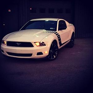 V6 stang