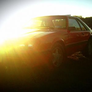Stock 85 2013