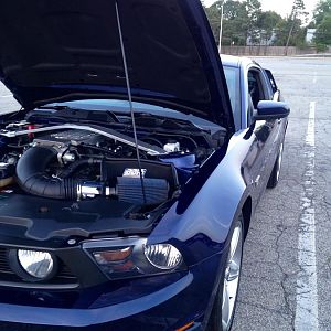 2010 mustang gt