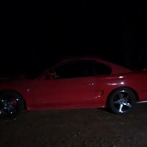 95 cobra