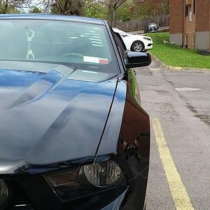 2010 gt