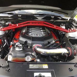 shellbacks 5.0