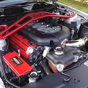 shellbacks 5.0