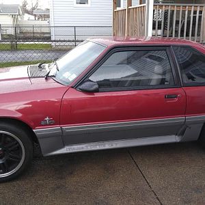 My 5.0