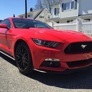 My new 5.0